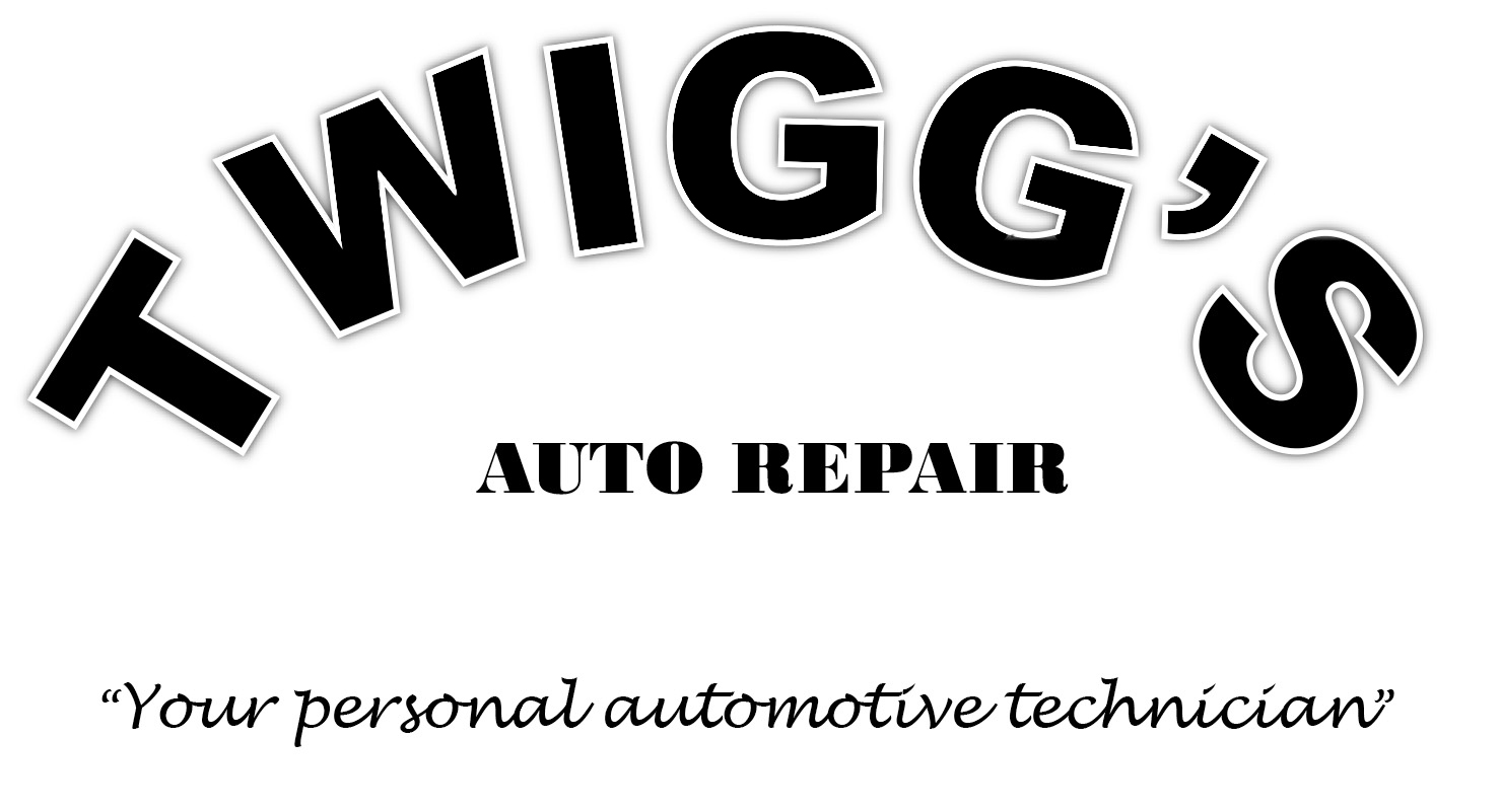 Twiggs logo